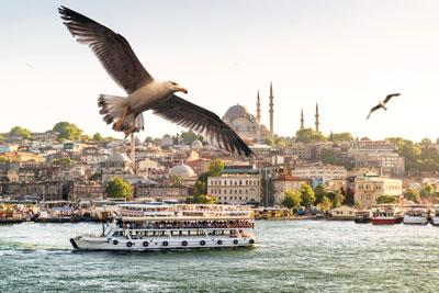Duygu Mu Akıl Mı? 