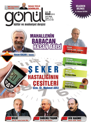 8. Sayı
