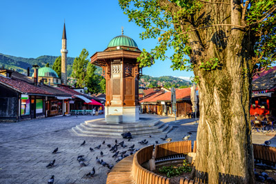 Balkanları Korumak ve Balkanlardan Kopmamak… / Prof. Dr. Ebubekir Sofuoğlu