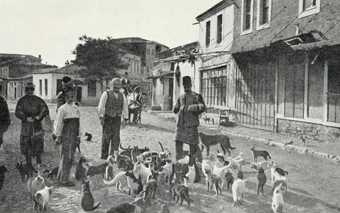 Osmanlı Toplumu ve Hayvan Hakları / Dr. Yavuz Erden