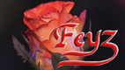 2009 Yılı Feyz Sinevizyonu